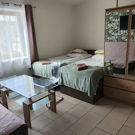 Eleven Проживание в семье