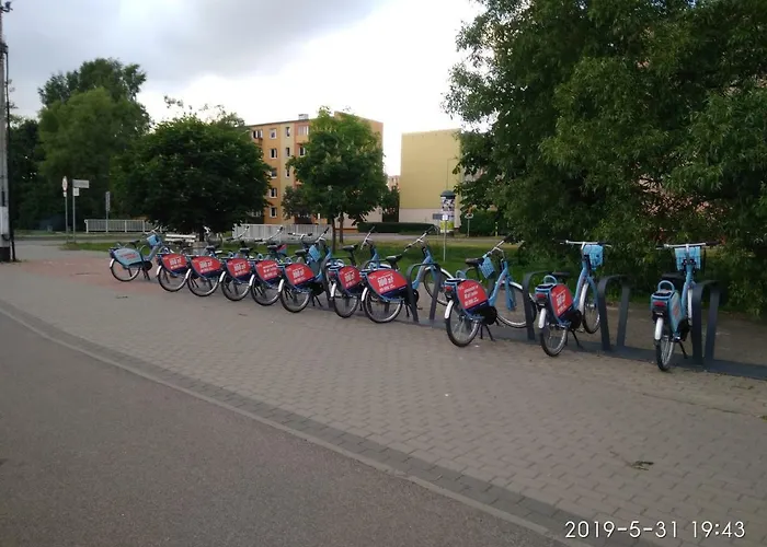 Eleven Проживание в семье